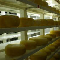 Prineville Cada Dia Cheese Farm