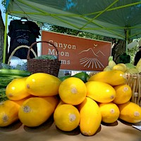 Prineville Crooked River Open Pastures (CROP) Farmers Market