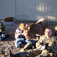 Prineville Mini Flerd Farm