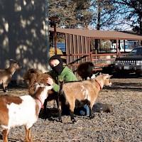 Prineville Mini Flerd Farm