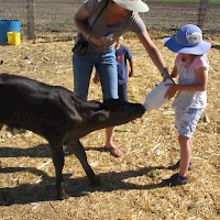 Prineville Windy Acres Dairy Farm