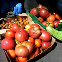 Prineville The Last Stand Farm