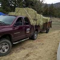 Prineville TandG Longhorns