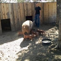 Prineville TandG Longhorns