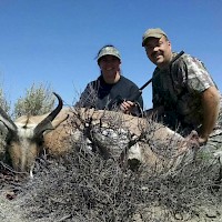 Prineville TandG Longhorns