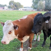 Prineville Quimby's Independent Meat Market