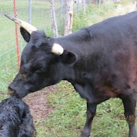 Prineville Quimby's Independent Meat Market