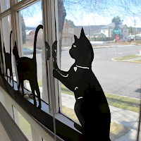 Prineville Crooked Tails Veterinary Clinic