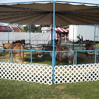 Prineville CROOK COUNTY FAIRGROUNDS