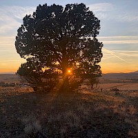 Prineville Sun Life Farm and Ranch